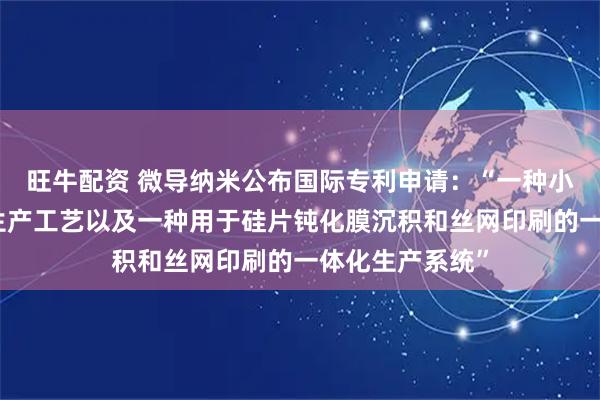 旺牛配资 微导纳米公布国际专利申请：“一种小片光伏电池的生产工艺以及一种用于硅片钝化膜沉积和丝网印刷的一体化生产系统”